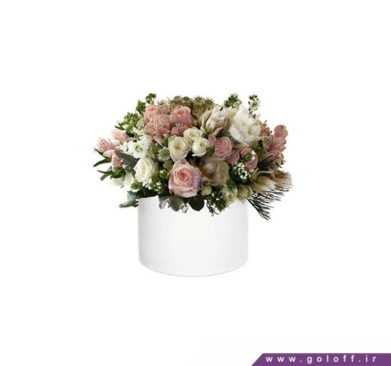 جعبه برای گل - جعبه گل دل آویز - Del Aviz | گل آف